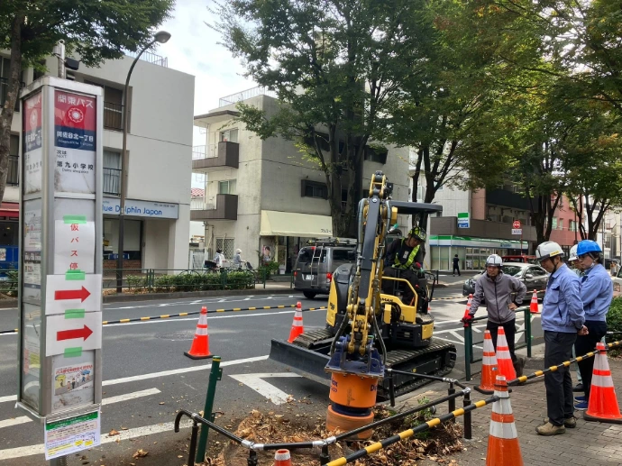 Dipperfox in Japan