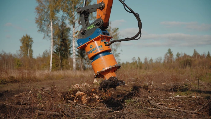 removing stumps