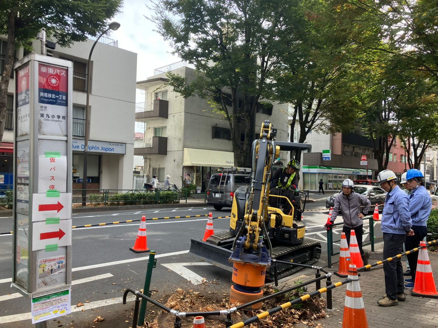 How Japan Lowered Its Stump Removal Costs? - Dipperfox