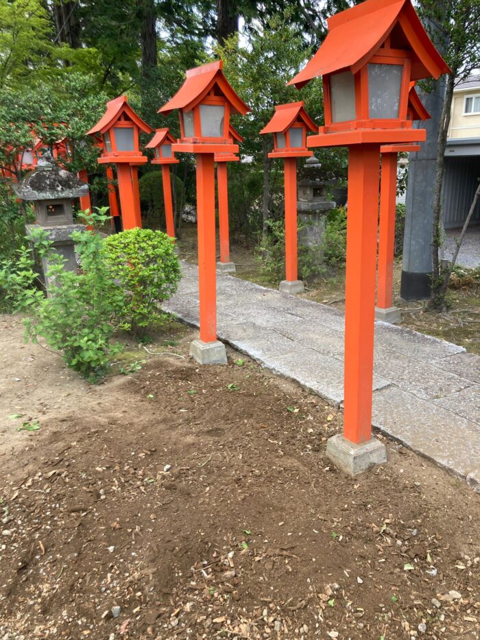 stump-removal-cost-in-japan-1
