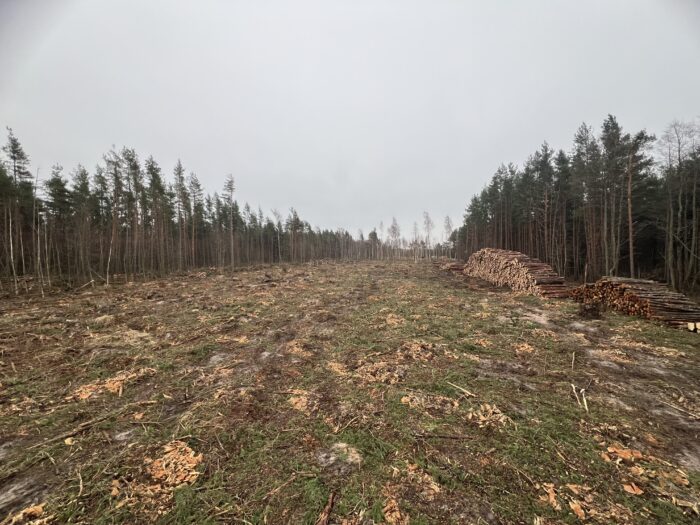 Forestry Stump Removal Tool Dipperfox - The Most Cost-Effective Solution For Stump Grinding Stumps in High Quantities