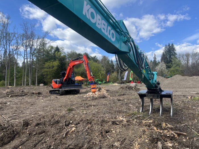 Digging stumps vs grinding a stump