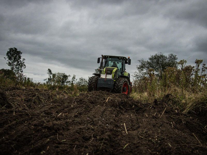 Coleman-Mulching - Land Clearing Stump Removal