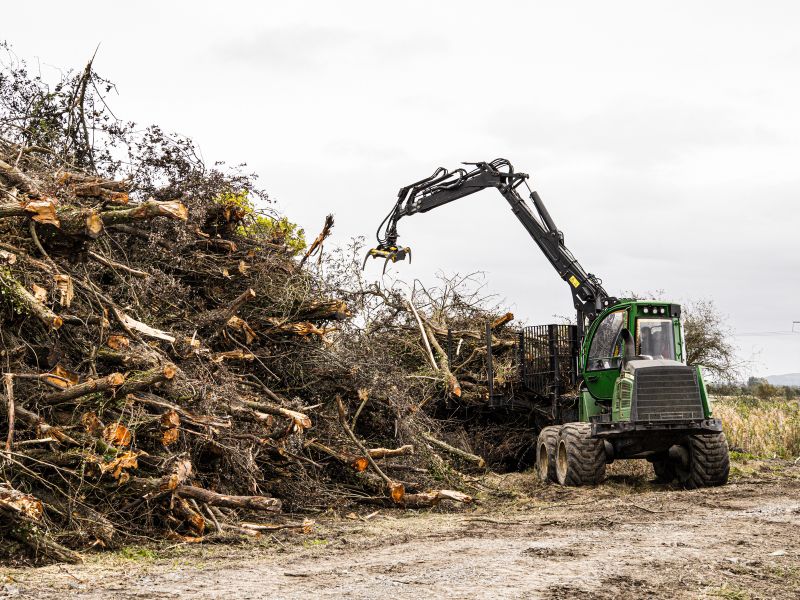 Coleman-Tree-Clearing - Land Clearing Stump Removal