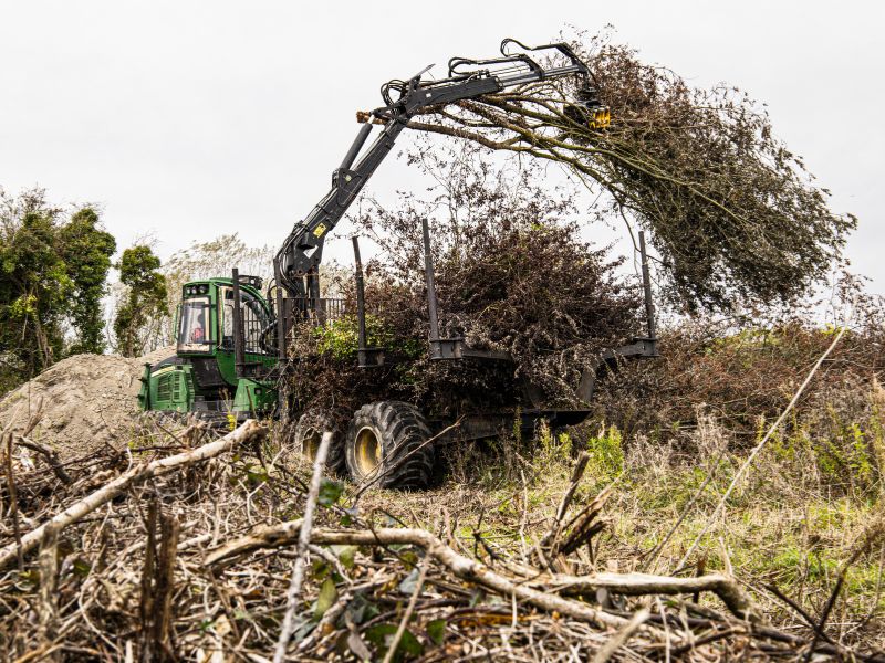 Coleman-Tree-Removal - Land Clearing Stump Removal