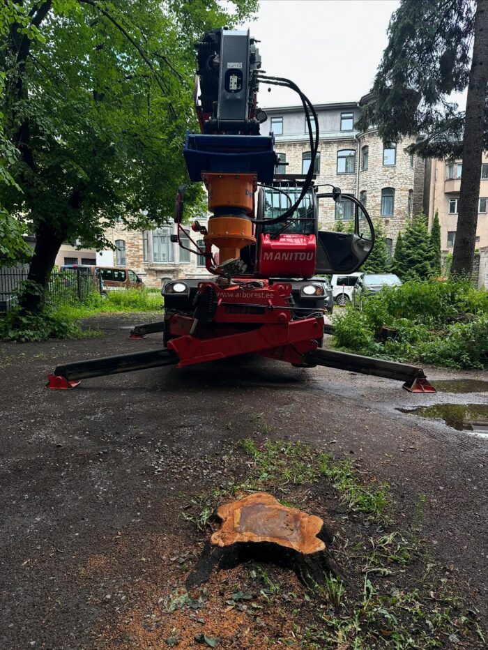 Arborist Tree Crane Stump Grinding 4
