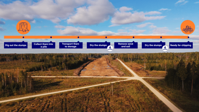 Stump removal process before Dipperfox